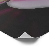 ピンクの花のクレマチスがクローズアップ ポスター (角)