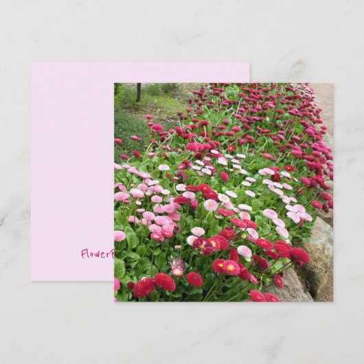 ピンクの花のグリーティングカード(平坦) カード (正面/裏面)