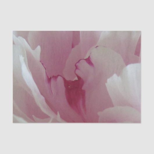 ピンクの花のティッシュペーパー 薄葉紙 (正面)