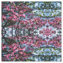 ピンクの花のハナミズキの木の写真