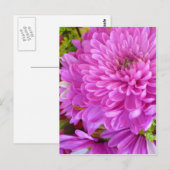 ピンクの花のパワー ポストカード (正面/裏面)