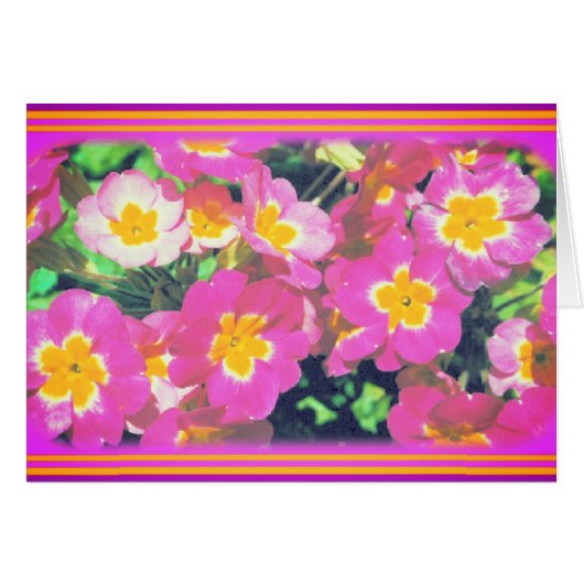 ピンクの花のフォトカード (正面横)