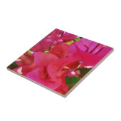 ピンクの花のブーガンビレア タイル (側面)