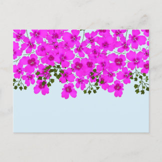 ピンクの花のポストカード ポストカード