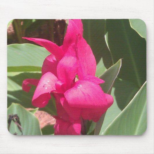 ピンクの花のマウスパッド マウスパッド (正面)