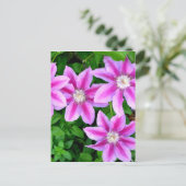 ピンクの花のワイルドオレガノの植物 ポストカード (スタンド正面)