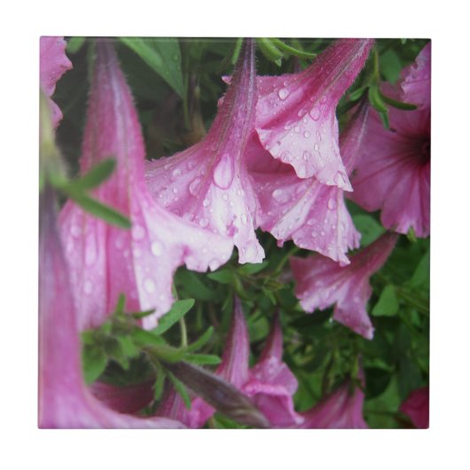 ピンクの花の上の露の雫 タイル (正面)