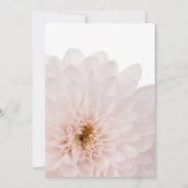 ピンクの花の写真の死の発表カード 案内状 (裏面)