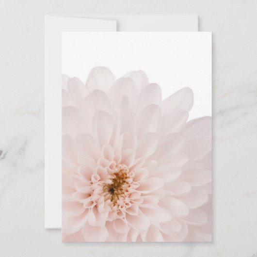 ピンクの花の写真の死の発表カード 案内状 (裏面)