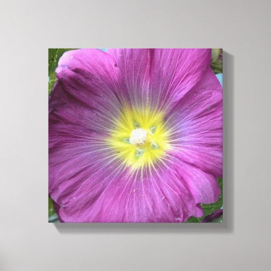 ピンクの花の写真の独身の複製 キャンバスプリント (正面)