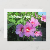 ピンクの花の写真を使った感謝のカード ポストカード (正面/裏面)