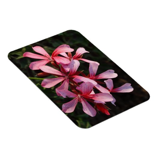 ピンクの花の写真マグネット マグネット (右側)