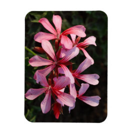 ピンクの花の写真マグネット マグネット