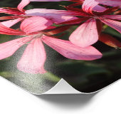 ピンクの花の写真紙プリント フォトプリント            (角)