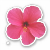 ピンクの花の写真 シール (正面)