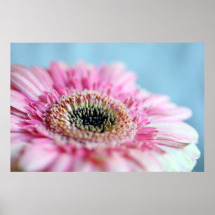 ピンクの花の写真 ポスター