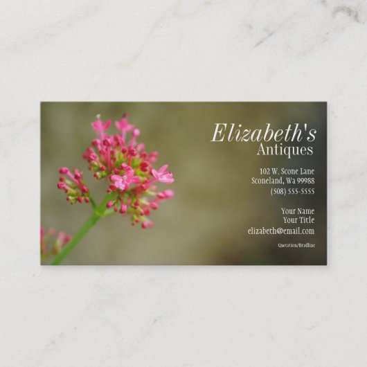 ピンクの花の名刺 名刺 (正面)