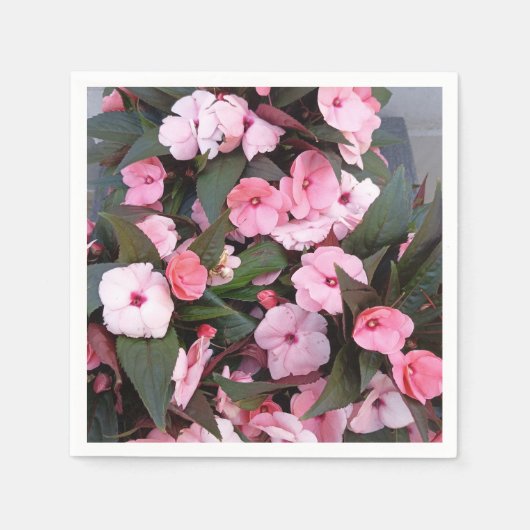 ピンクの花の庭園の布ナプキン | 菉雅な植物画 スタンダードカクテルナプキン (正面)