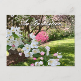 ピンクの花の招待ポストカード ポストカード