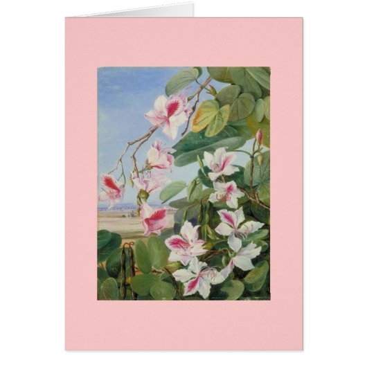 ピンクの花の春のパーティーのシャワーの平和愛運命 (正面)