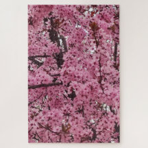 ピンクの花の春の木