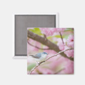 ピンクの花の木に咲く鳥 マグネット (正面/裏面)