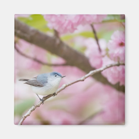 ピンクの花の木に咲く鳥 マグネット (正面)