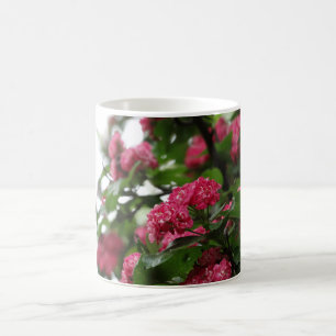 ピンクの花の木の写真マグカップ コーヒーマグカップ