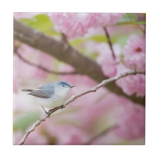 ピンクの花の木の鳥 タイル (正面)