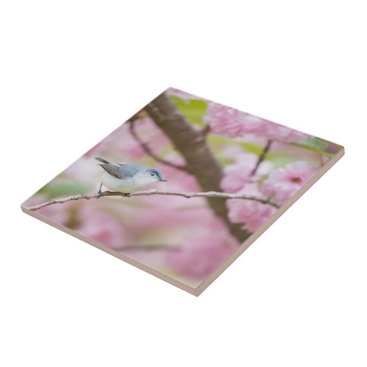 ピンクの花の木の鳥 タイル (側面)