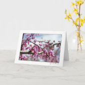 ピンクの花の木 カード (黄色い花)