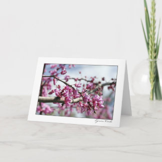 ピンクの花の木 カード