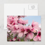 ピンクの花の枝葉書 ポストカード (正面/裏面)