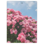 ピンクの花の滝 クリップボード (裏面)
