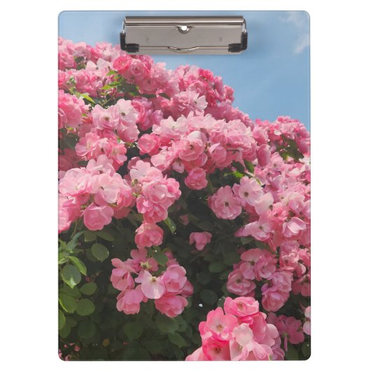 ピンクの花の滝 クリップボード (正面)