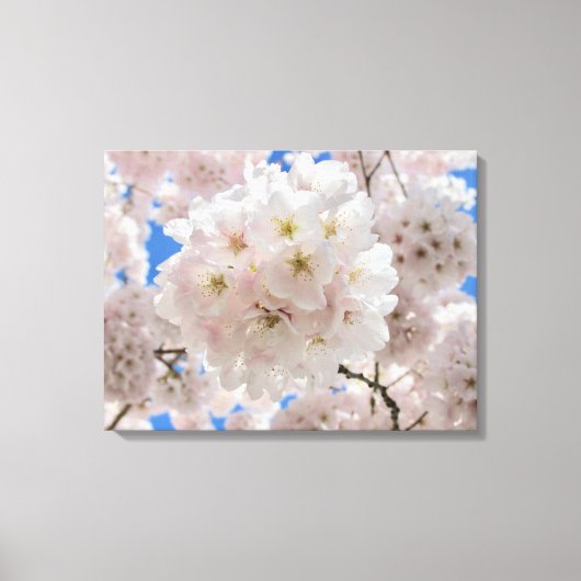 ピンクの花の玉。 キャンバスプリント (正面)