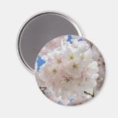 ピンクの花の玉。 マグネット (正面/裏面)