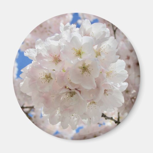 ピンクの花の玉。 マグネット (正面)