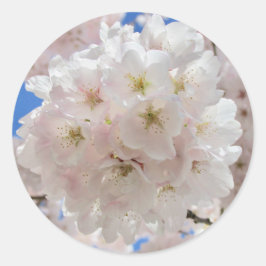 ピンクの花の玉。 ラウンドシール