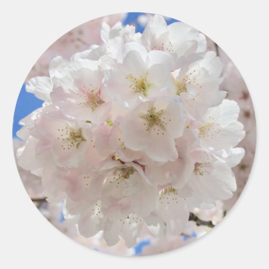 ピンクの花の玉。 ラウンドシール (正面)