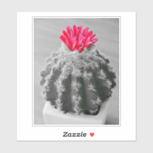 ピンクの花の白黒写真のコアクタス植物 シール