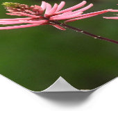 ピンクの花の穂の自然写真 ポスター (角)