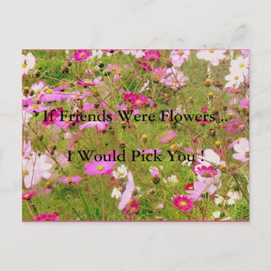 ピンクの花の絨毯 友情 ポストカード (正面)