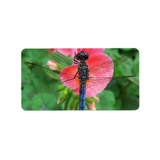 ピンクの花の緑の背景に青いトンボ ラベル (正面)