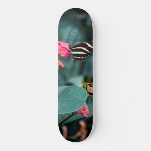 ピンクの花の美しい蝶 スケートボード (正面)