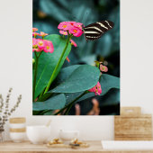 ピンクの花の美しい蝶 ポスター (キッチン)