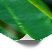 ピンクの花の美しい蝶 ポスター (コーナー)