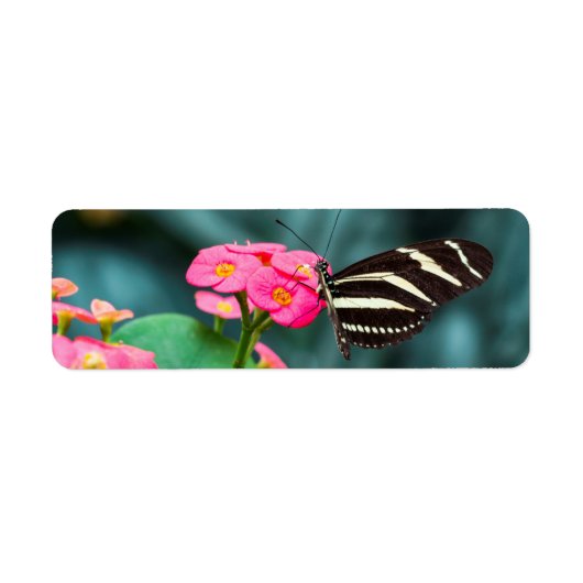 ピンクの花の美しい蝶 ラベル (正面)