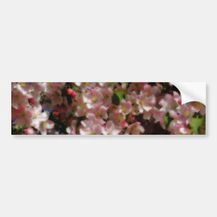 ピンクの花の花のバンパーステッカー バンパーステッカー