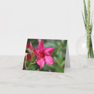 ピンクの花の花のメッセージカード カード